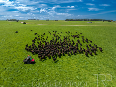 October 2022 / Mt-Shank-221017-0410