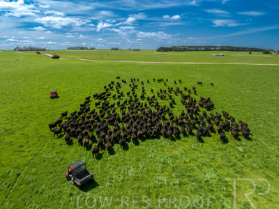 October 2022 / Mt-Shank-221017-0416