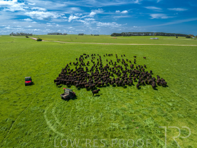 October 2022 / Mt-Shank-221017-0419