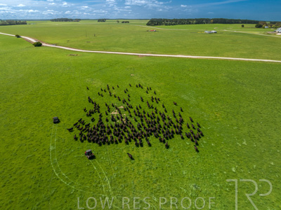 October 2022 / Mt-Shank-221017-0425