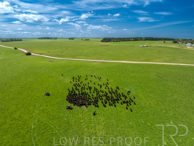 October 2022 / Mt-Shank-221017-0428