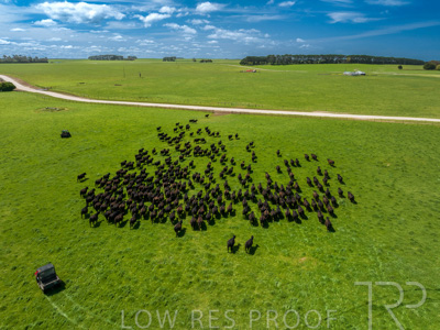 October 2022 / Mt-Shank-221017-0431