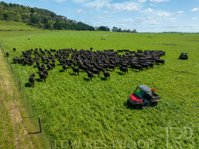 October 2022 / Mt-Shank-221017-0434