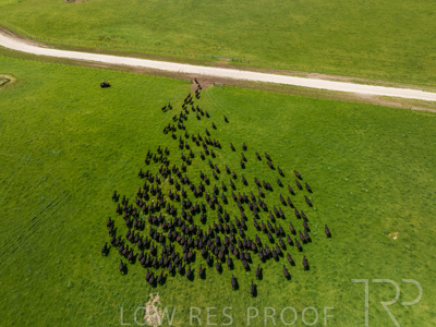 October 2022 / Mt-Shank-221017-0437-2