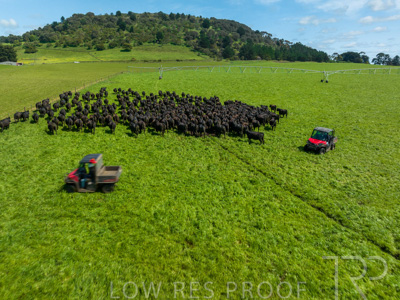 October 2022 / Mt-Shank-221017-0440