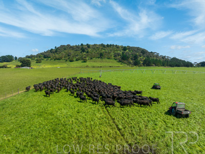 October 2022 / Mt-Shank-221017-0449