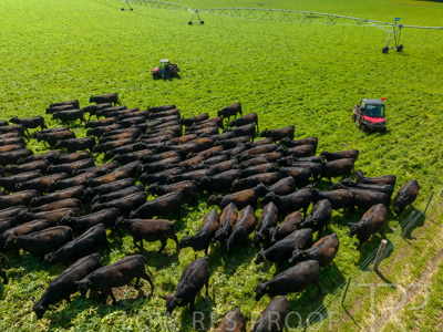 October 2022 / Mt-Shank-221017-0467