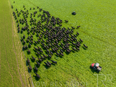 October 2022 / Mt-Shank-221017-0468