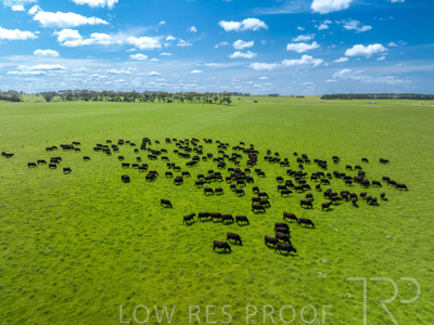 October 2022 / Mt-Shank-221017-0508