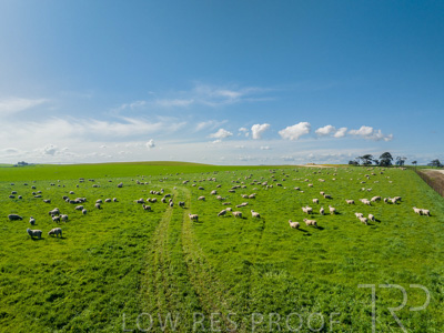 October 2022 / Mt-Shank-221017-0613