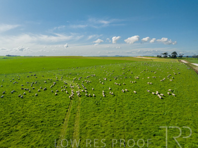 October 2022 / Mt-Shank-221017-0616