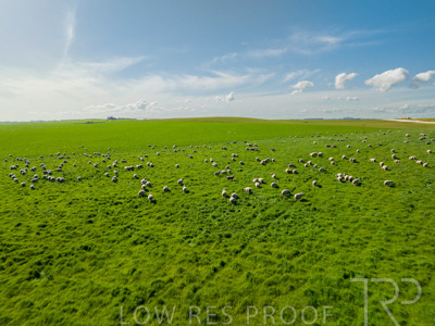 October 2022 / Mt-Shank-221017-0622