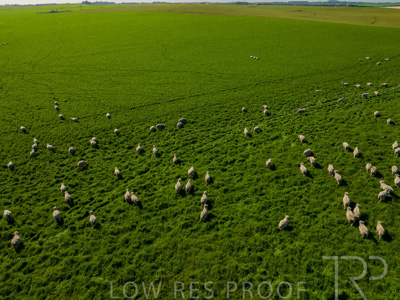 October 2022 / Mt-Shank-221017-0628