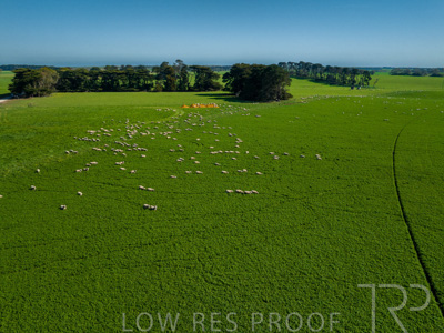 October 2022 / Mt-Shank-221017-0634