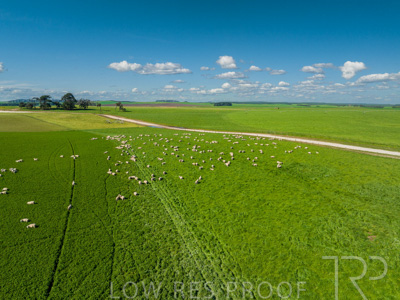 October 2022 / Mt-Shank-221017-0638