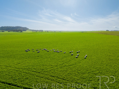 October 2022 / Mt-Shank-221017-0641