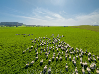 October 2022 / Mt-Shank-221017-0644