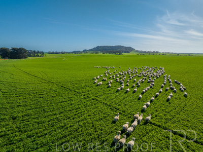 October 2022 / Mt-Shank-221017-0647