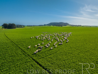 October 2022 / Mt-Shank-221017-0650