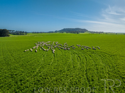 October 2022 / Mt-Shank-221017-0656