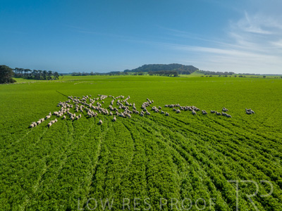 October 2022 / Mt-Shank-221017-0659