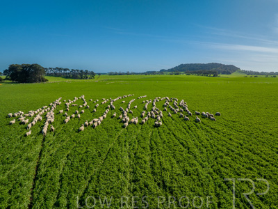 October 2022 / Mt-Shank-221017-0662