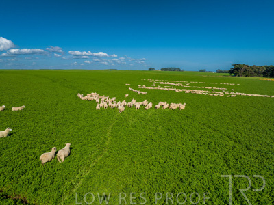 October 2022 / Mt-Shank-221017-0666