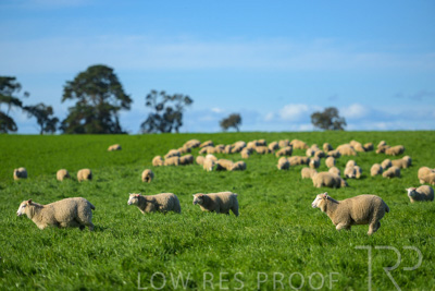 October 2022 / Mt-Shank-221017-3447