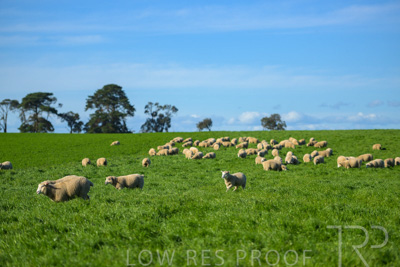 October 2022 / Mt-Shank-221017-3452