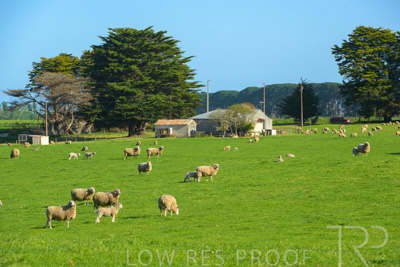 October 2022 / Mt-Shank-221017-3539