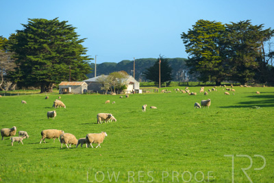 October 2022 / Mt-Shank-221017-3541