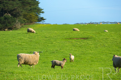 October 2022 / Mt-Shank-221017-3542