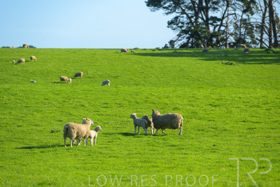 October 2022 / Mt-Shank-221017-3548