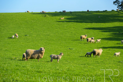 October 2022 / Mt-Shank-221017-3558