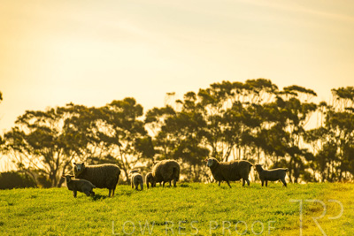 October 2022 / Mt-Shank-221017-3570