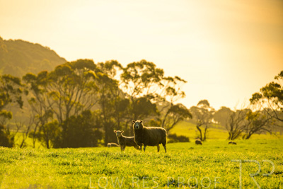 October 2022 / Mt-Shank-221017-3577