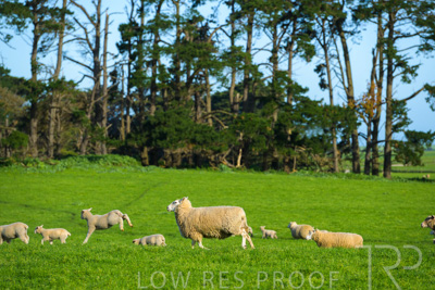 October 2022 / Mt-Shank-221017-3581