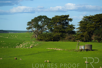 October 2022 / Mt-Shank-221017-3591