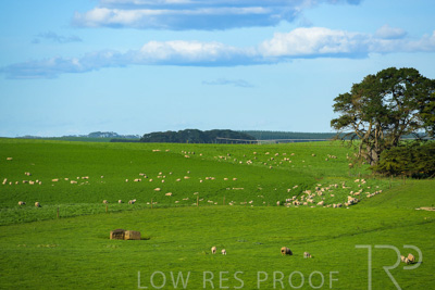 October 2022 / Mt-Shank-221017-3592