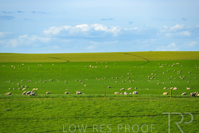 October 2022 / Mt-Shank-221017-3594