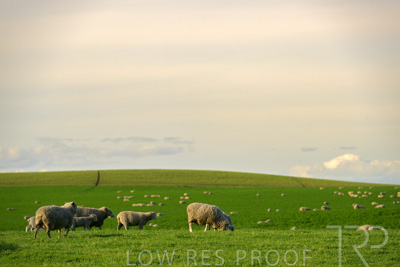 October 2022 / Mt-Shank-221017-3638