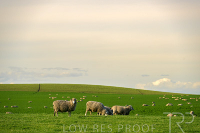 October 2022 / Mt-Shank-221017-3640