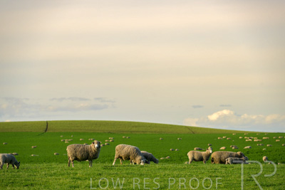 October 2022 / Mt-Shank-221017-3643