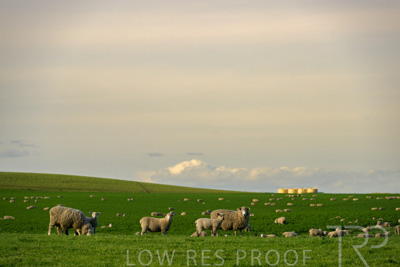 October 2022 / Mt-Shank-221017-3653