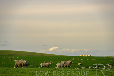 October 2022 / Mt-Shank-221017-3662