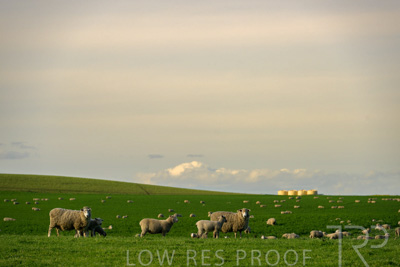 October 2022 / Mt-Shank-221017-3670