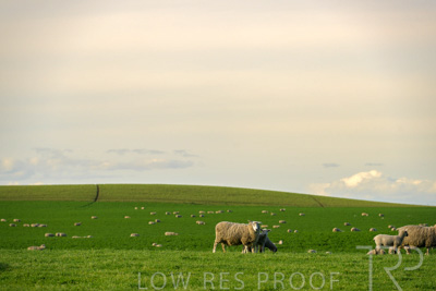 October 2022 / Mt-Shank-221017-3674