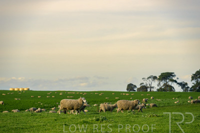 October 2022 / Mt-Shank-221017-3677