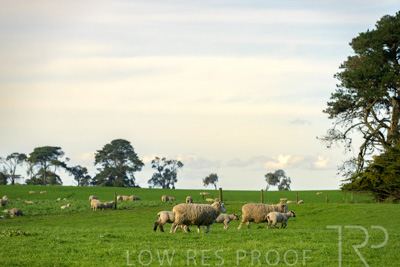 October 2022 / Mt-Shank-221017-3680