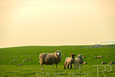 October 2022 / Mt-Shank-221017-3685